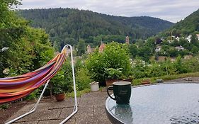 Miky Home